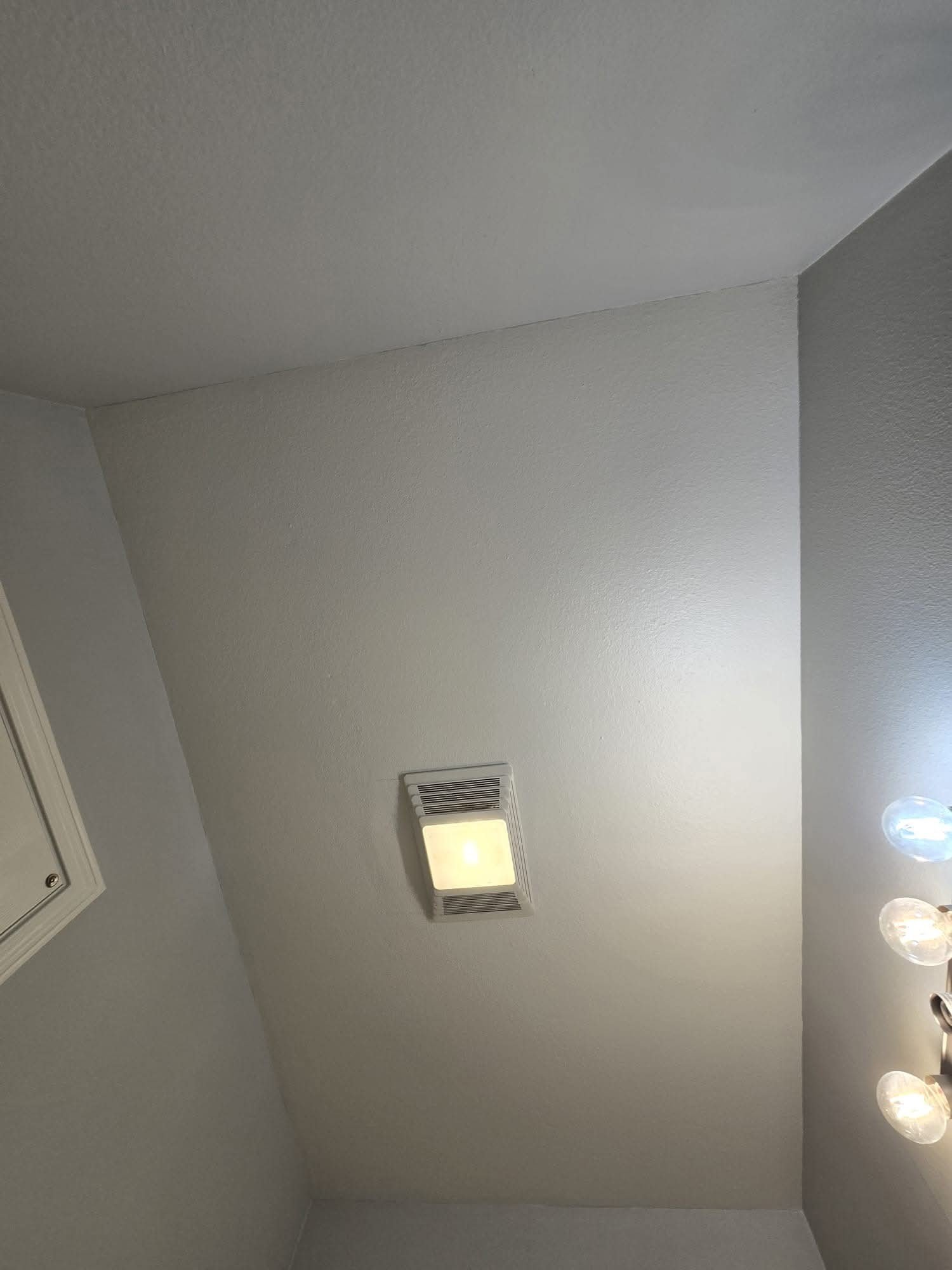 Detailed wall painting Seattle WA