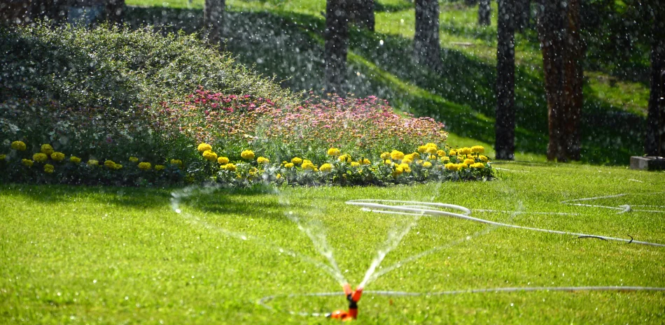 Repair service image